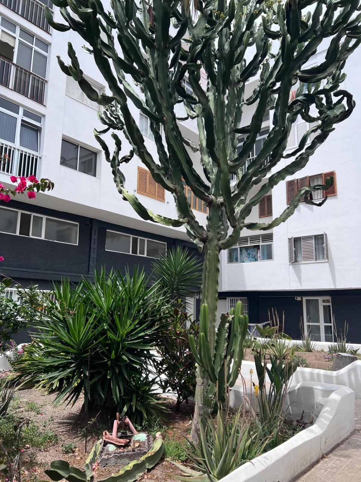 Relax Apartamento 3 Las Palmas de Gran Canaria Zewnętrze zdjęcie